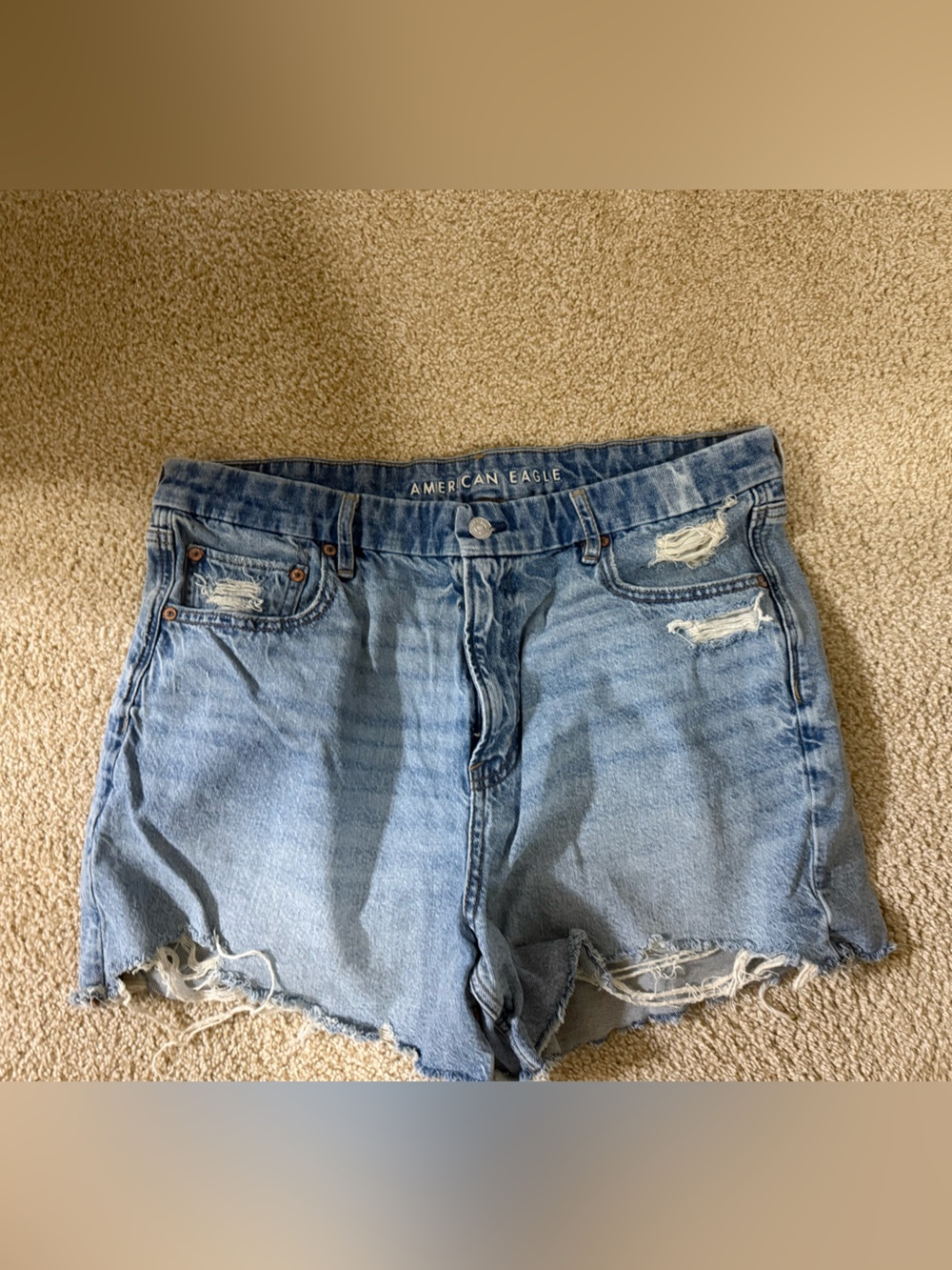 American Eagle Outfitters Light Wash Distressed Denim Shorts